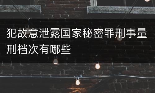 犯故意泄露国家秘密罪刑事量刑档次有哪些
