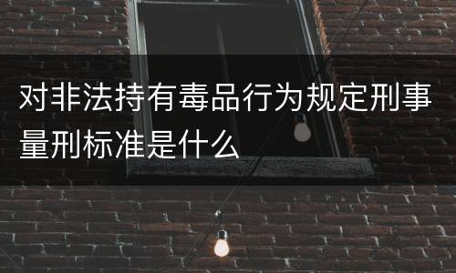 对非法持有毒品行为规定刑事量刑标准是什么