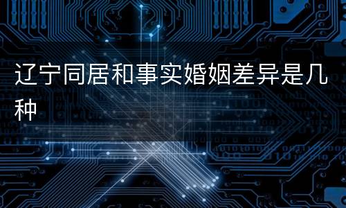 辽宁同居和事实婚姻差异是几种