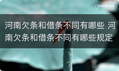 河南欠条和借条不同有哪些 河南欠条和借条不同有哪些规定