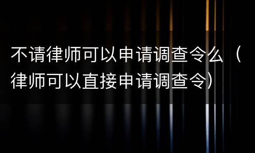 不请律师可以申请调查令么（律师可以直接申请调查令）