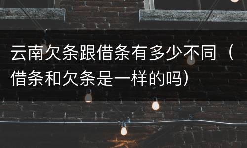 云南欠条跟借条有多少不同（借条和欠条是一样的吗）