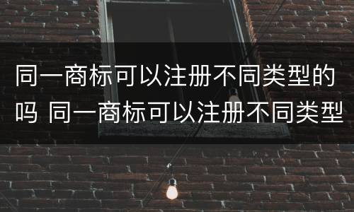 同一商标可以注册不同类型的吗 同一商标可以注册不同类型的吗为什么