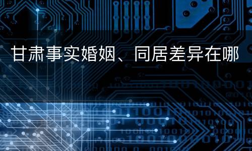 甘肃事实婚姻、同居差异在哪
