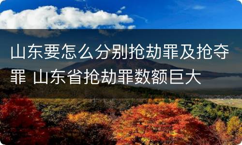 山东要怎么分别抢劫罪及抢夺罪 山东省抢劫罪数额巨大