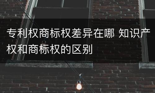 专利权商标权差异在哪 知识产权和商标权的区别