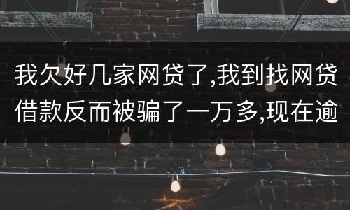 我欠好几家网贷了,我到找网贷借款反而被骗了一万多,现在逾期了好几家了,我给怎么办