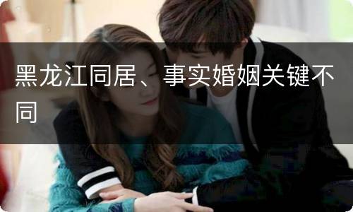 黑龙江同居、事实婚姻关键不同