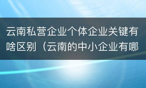 云南私营企业个体企业关键有啥区别（云南的中小企业有哪些）
