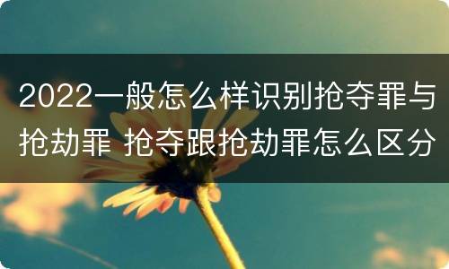 2022一般怎么样识别抢夺罪与抢劫罪 抢夺跟抢劫罪怎么区分