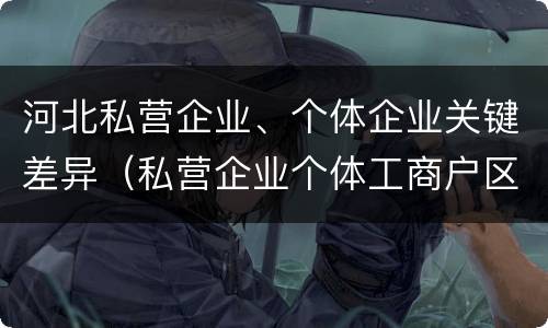 河北私营企业、个体企业关键差异（私营企业个体工商户区别）