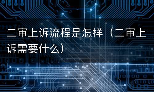 二审上诉流程是怎样（二审上诉需要什么）
