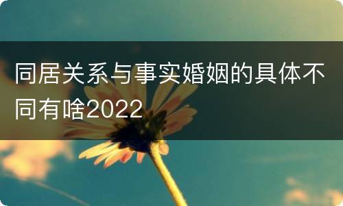 同居关系与事实婚姻的具体不同有啥2022