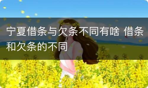 宁夏借条与欠条不同有啥 借条和欠条的不同