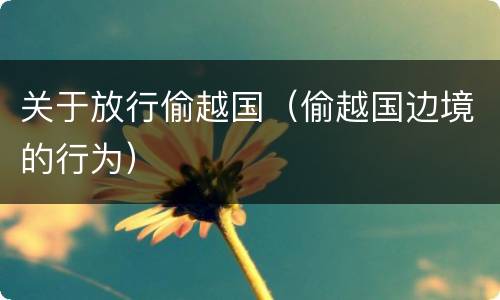 关于放行偷越国（偷越国边境的行为）