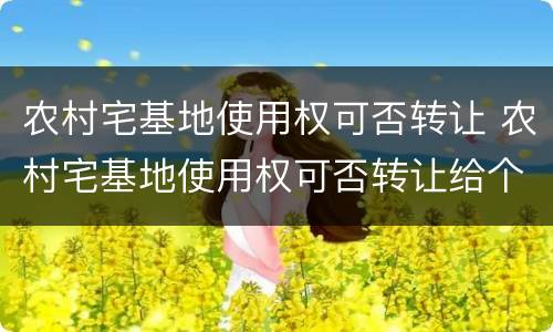 农村宅基地使用权可否转让 农村宅基地使用权可否转让给个人