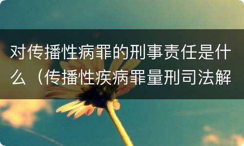 对传播性病罪的刑事责任是什么（传播性疾病罪量刑司法解释）