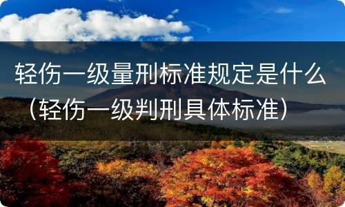 轻伤一级量刑标准规定是什么（轻伤一级判刑具体标准）