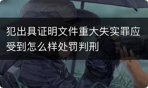 犯出具证明文件重大失实罪应受到怎么样处罚判刑