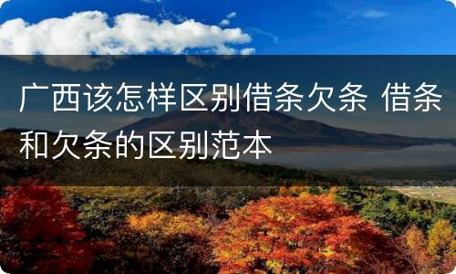广西该怎样区别借条欠条 借条和欠条的区别范本