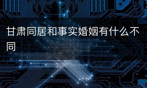 甘肃同居和事实婚姻有什么不同