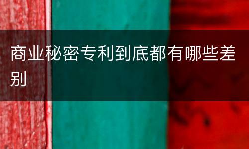 商业秘密专利到底都有哪些差别