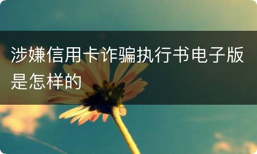 涉嫌信用卡诈骗执行书电子版是怎样的