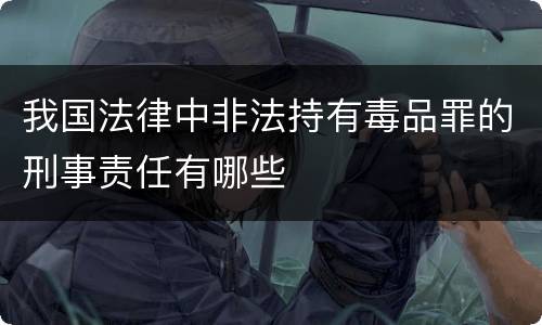 我国法律中非法持有毒品罪的刑事责任有哪些