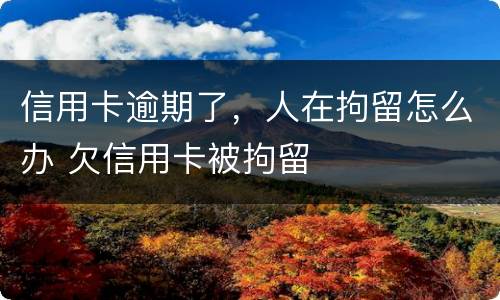 信用卡逾期了，人在拘留怎么办 欠信用卡被拘留