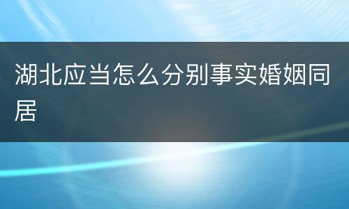 湖北应当怎么分别事实婚姻同居