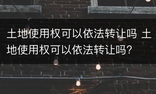 土地使用权可以依法转让吗 土地使用权可以依法转让吗?