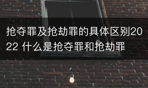 抢夺罪及抢劫罪的具体区别2022 什么是抢夺罪和抢劫罪