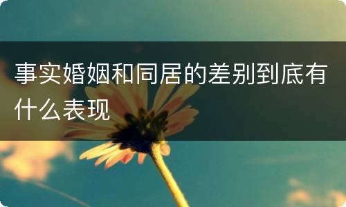 事实婚姻和同居的差别到底有什么表现