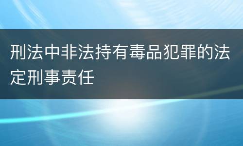 刑法中非法持有毒品犯罪的法定刑事责任
