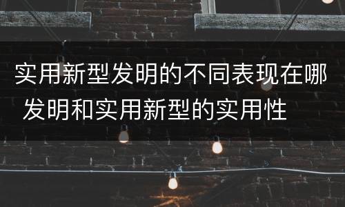 实用新型发明的不同表现在哪 发明和实用新型的实用性