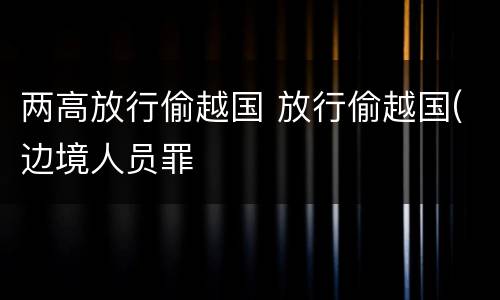 两高放行偷越国 放行偷越国(边境人员罪