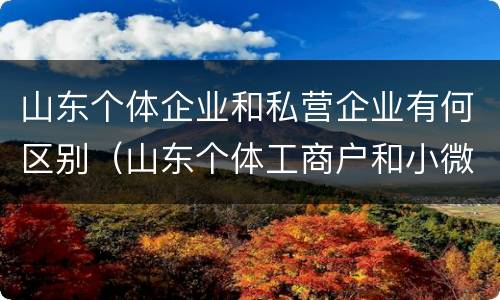 山东个体企业和私营企业有何区别（山东个体工商户和小微企业）