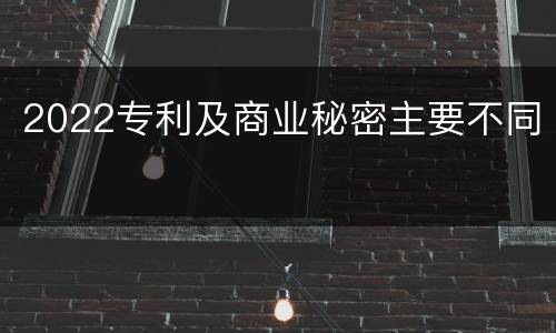 2022专利及商业秘密主要不同
