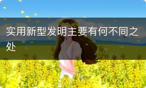 实用新型发明主要有何不同之处