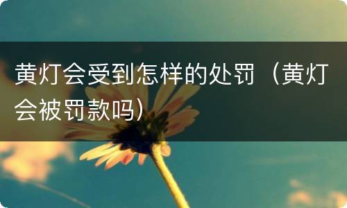 黄灯会受到怎样的处罚（黄灯会被罚款吗）