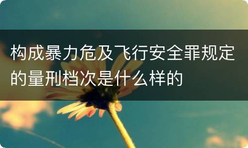 构成暴力危及飞行安全罪规定的量刑档次是什么样的