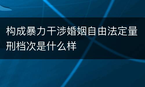 构成暴力干涉婚姻自由法定量刑档次是什么样