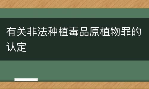 有关非法种植毒品原植物罪的认定