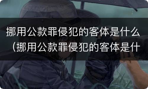 挪用公款罪侵犯的客体是什么（挪用公款罪侵犯的客体是什么行为）