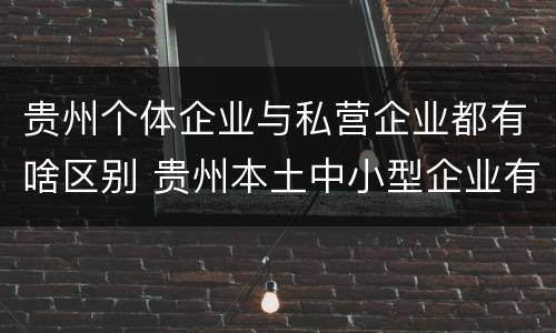 贵州个体企业与私营企业都有啥区别 贵州本土中小型企业有哪些