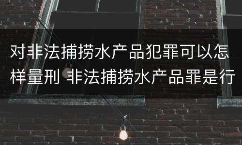 对非法捕捞水产品犯罪可以怎样量刑 非法捕捞水产品罪是行为犯吗