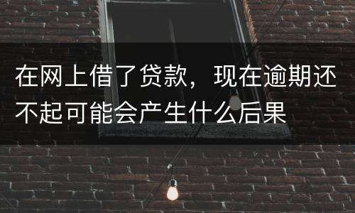 在网上借了贷款，现在逾期还不起可能会产生什么后果