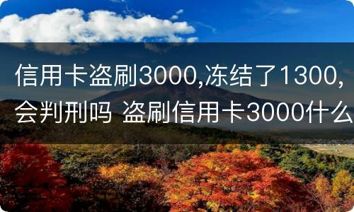 信用卡盗刷3000,冻结了1300,会判刑吗 盗刷信用卡3000什么后果