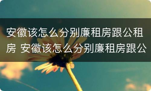 安徽该怎么分别廉租房跟公租房 安徽该怎么分别廉租房跟公租房呢