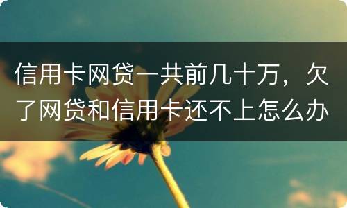 信用卡网贷一共前几十万，欠了网贷和信用卡还不上怎么办